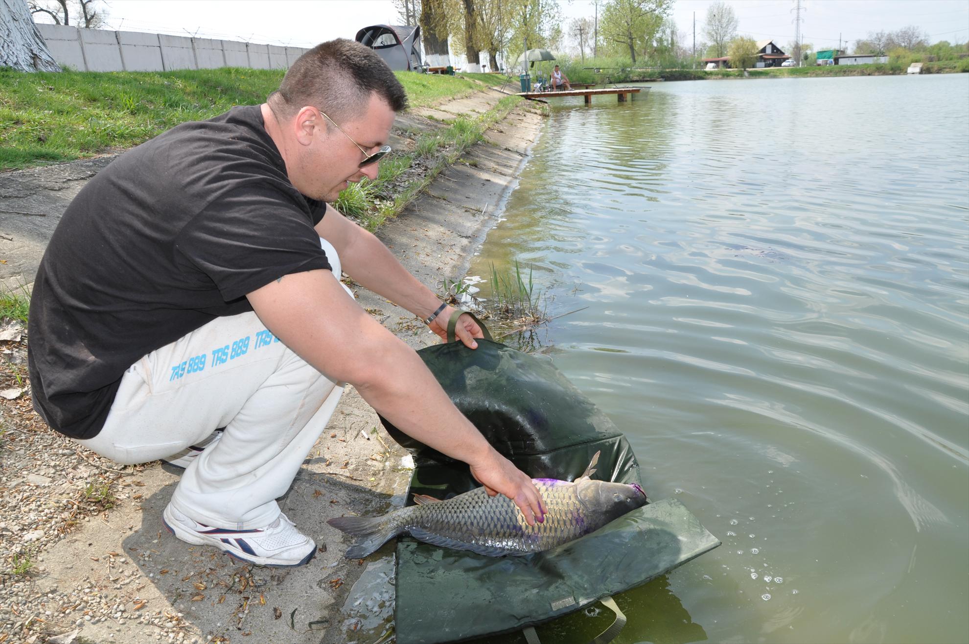 GALERIE FOTO TROFEUL USAMV - PLEASA 2 - dsc0502.JPG